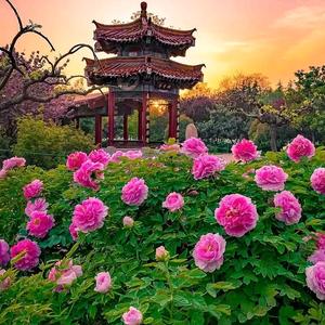 幸福妈妈头像