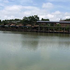 青青河边草头像