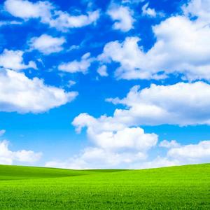 仁怀市学孔远红种养殖农民专业合作社头像