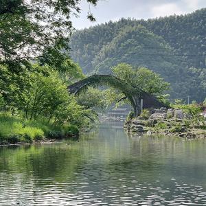 昵称已重置头像