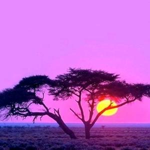 冷月下守候头像