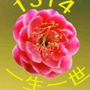 浅笑嫣然头像