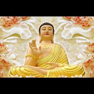 佛系～小女子的主页 - 抖音