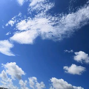 &夏天的风&头像