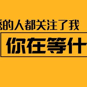 郑州奥雷特汽车饰品有限公司