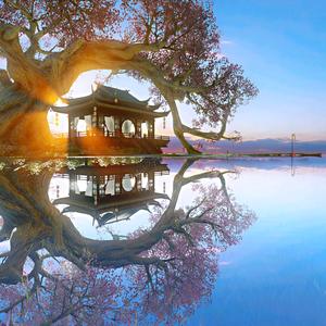 天青色等烟雨头像