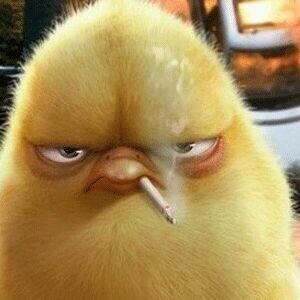 斗鸡眼捅台球头像