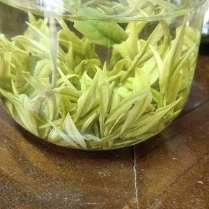 新昌县益健茶业专业合作社