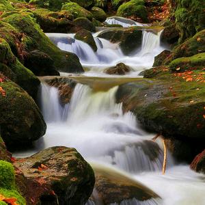拍山拍水拍花草,拍云拍雨拍冬雪,都源于对大自然的敬畏和热爱.