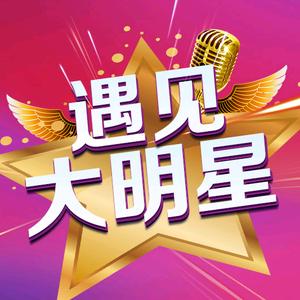 遇见大明星头像