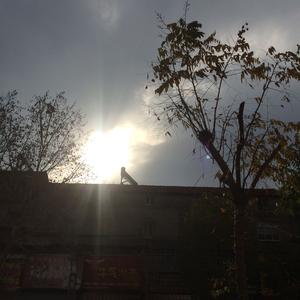 天黑_170706004头像