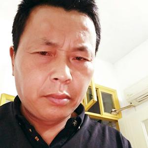 唯求_____枝繁叶茂头像