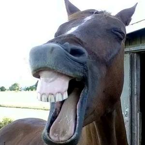 华北第二狠人头像