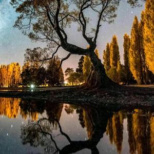 独钓寒江雪头像