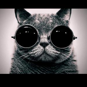 大熊的主页 - 抖音