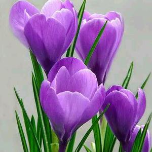 开心过好每一天