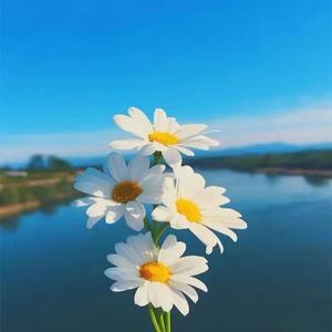 平淡头像