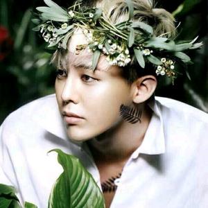 浪里小白龙头像