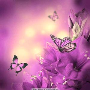 醉酒的蝴蝶头像