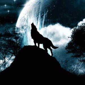 你逼我成魔,我决不当佛头像