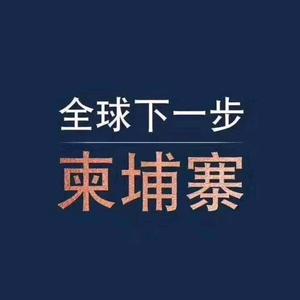 百事兴国际物流:整柜,散货,东南亚专线头像