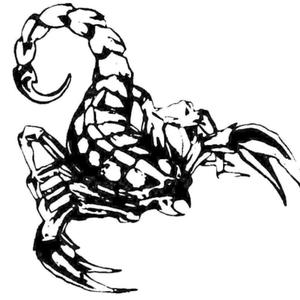 蝎子微信头像图片