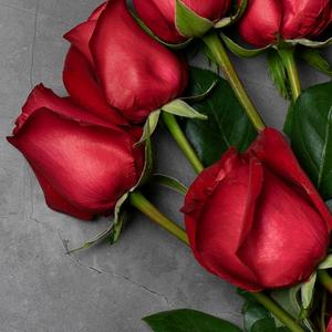 带刺的玫瑰(回族)头像