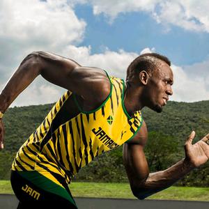 田径闪电博头像