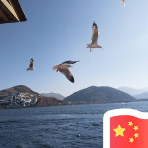 岁月静好头像
