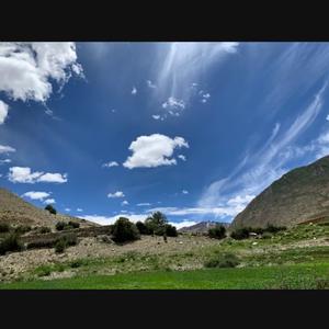 无所谓的人生路头像