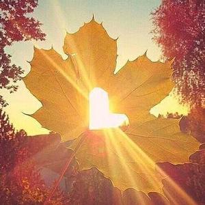 心若向阳何惧忧伤头像