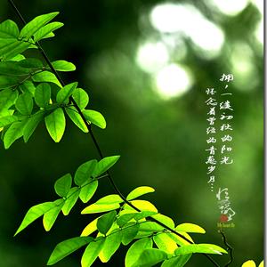 浅笑浅笑倾城头像