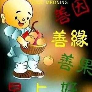 善因善缘结善果头像