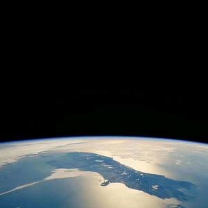 海中金(张)头像