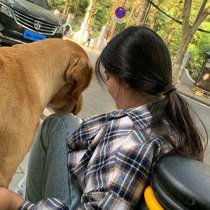 行走的萌娜丽傻头像