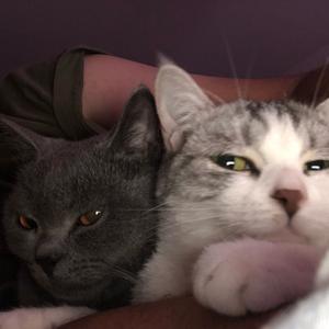 兄弟你很炸啊头像