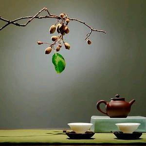 茶艺图片头像图片