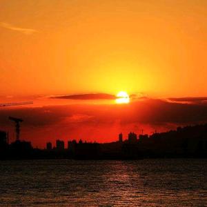 夕阳红的主页 - 抖音