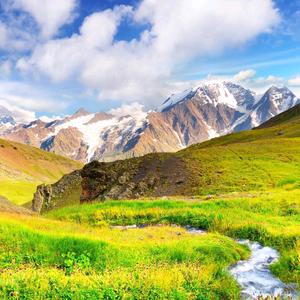 高山草甸图片头像图片