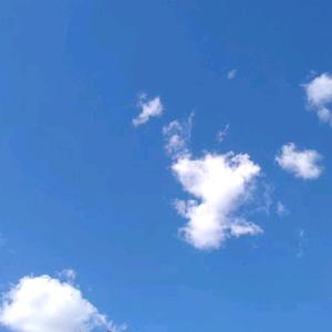 尘埃落定头像