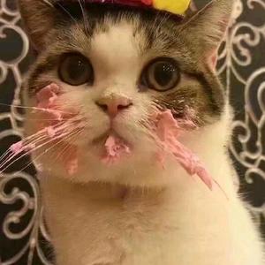 搜索 抖音号:  1746193809 大家好我是落仔,我是光遇的干饭王.