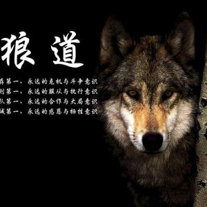 《狼性团队》李建文的主页 - 抖音