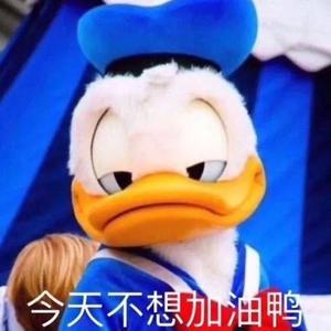 今天也不想加油鸭