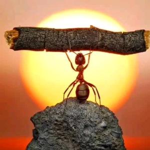 会说话的鱼巜宗《生命中你会,相信谁头像