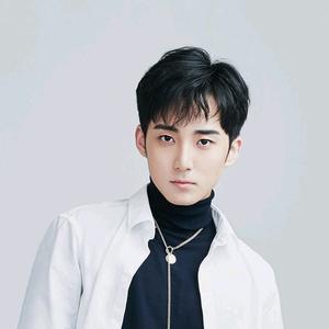 风一样的男子头像