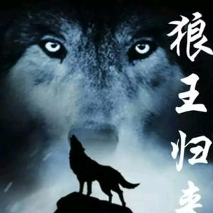狼行天下吃肉.头像