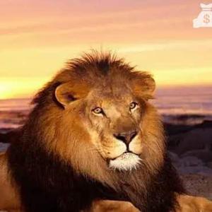 搜索 抖音号:  king1217.hy 感谢您关注!good luck!