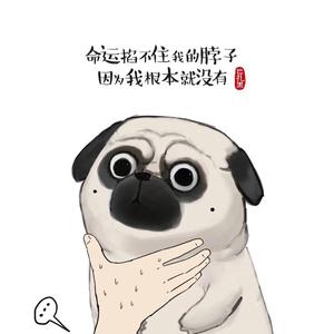 怂得不得了的福狸啊头像