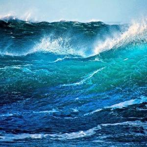 沧海一声笑头像