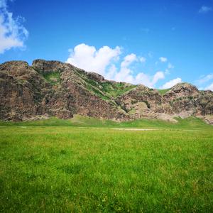 我要去青青草原抓羊头像